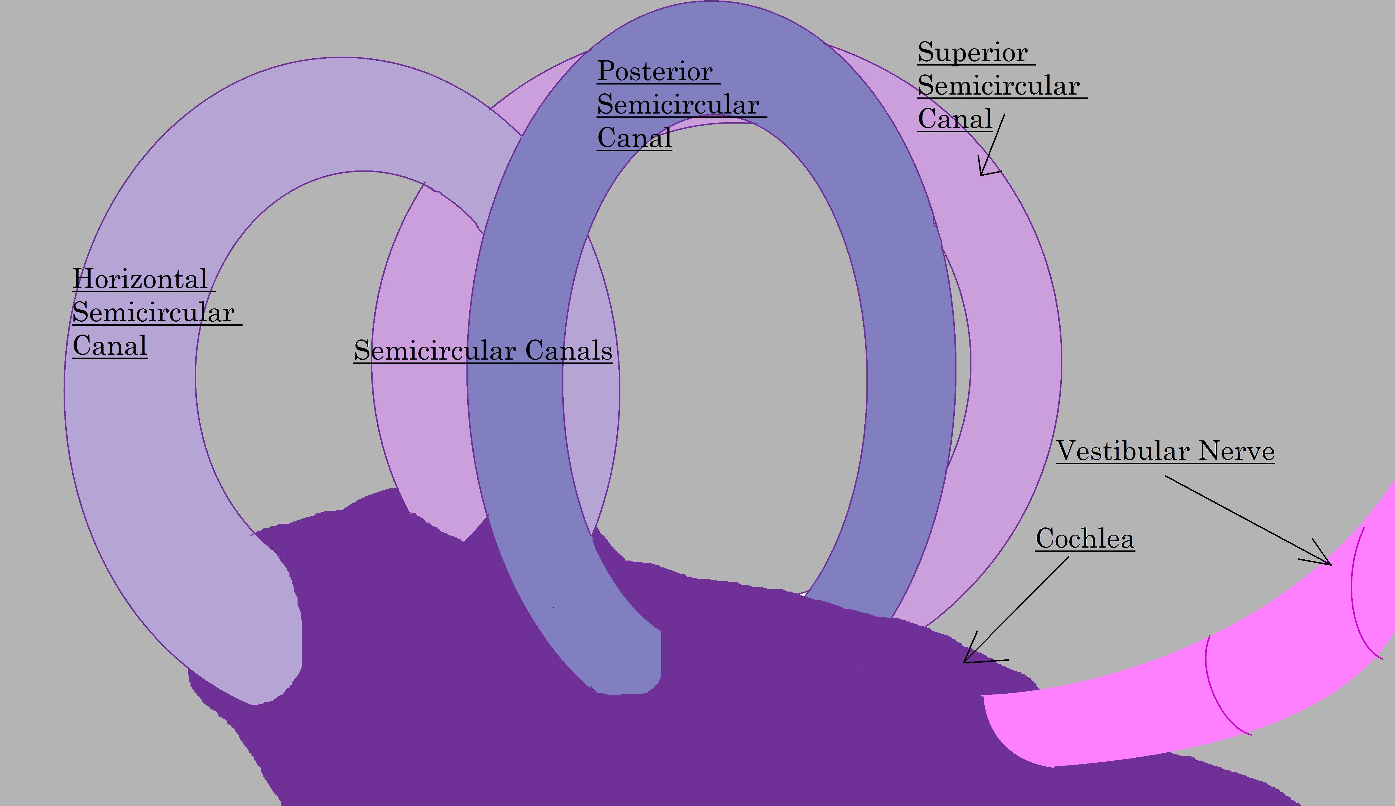 This isn't what the canals actually look like.
